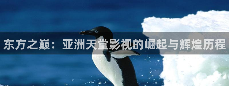 九九被窝电影网