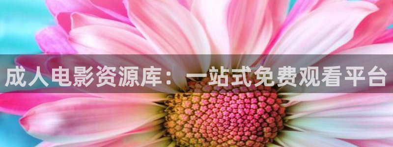 日韩被窝影视在线